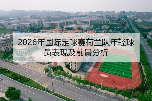 2026年国际足球赛荷兰队年轻球员表现及前景分析