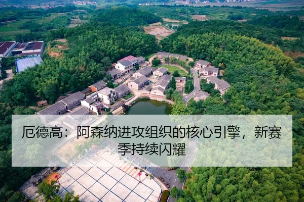 厄德高：阿森纳进攻组织的核心引擎，新赛季持续闪耀