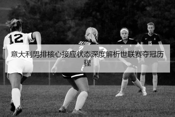 yi-da-li-nan-pai-he-xin-jie-ying-zhuang-tai-shen-du-jie-xi-shi-lian-sai-duo-guan-li-cheng-2-612.jpg