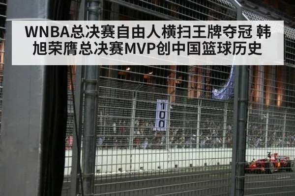 WNBA总决赛自由人横扫王牌夺冠 韩旭荣膺总决赛MVP创中国篮球历史